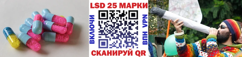 блэк спрут вход  Заринск  Лсд 25 экстази кислота 