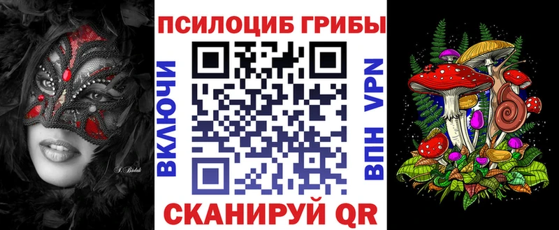 где купить наркотик Заринск Псилоцибиновые грибы Magic Shrooms